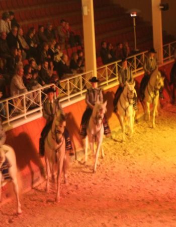 FIESTAS FIN DE AÑO EVENTOS TARDEOS RESTAURANTES CASTELLAR DEL VALLES BINOMIO ECUESTRE